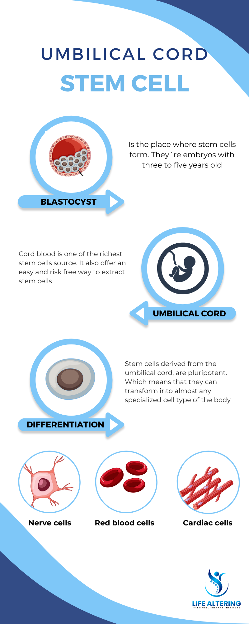 Umbilical Cord Mesenchymal Stem Cells