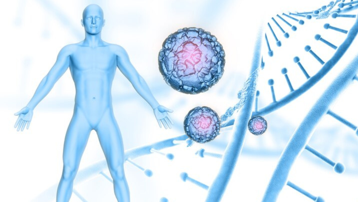 The Process of Stem Cells Into The Body Explained