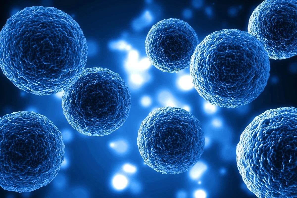 Healing Power Of Stem Cell Therapy: A Comprehensive Guide