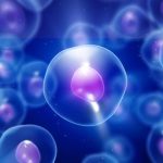 Stem Cell Therapy - What To Expect From The Treatment