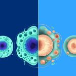 Stem Cells Vs. Progenitor Cells: A Comparative Study