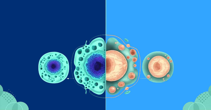 Stem Cells Vs. Progenitor Cells: A Comparative Study