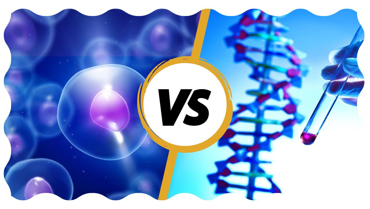 Stem Cell Therapy Vs. Gene Therapy - Key Comparisons