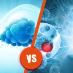 Stem Cell Therapy Vs Spinal Fusion - Which Is Better?