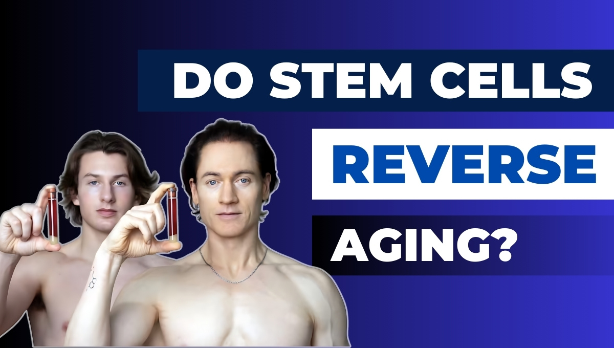 Do Stem Cells Reverse Aging? An In-Depth Look at Stem Cell Therapy for Anti-Aging