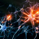 Stem Cell Therapy for Multiple Sclerosis: The Latest Treatment Options